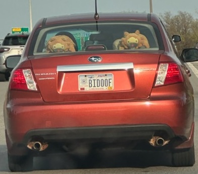 A car with license plate BIDOOF with two Bidoof pokemons in the back window